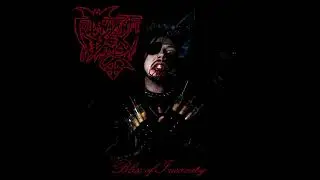 Mutant Sex Demon - Bliss of Insanity (2026) [Full album stream]