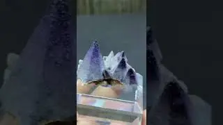 #Yttrofluorite #Fluorite #minerals #crystals #gems #specimen #geology #rocks #stone #museum