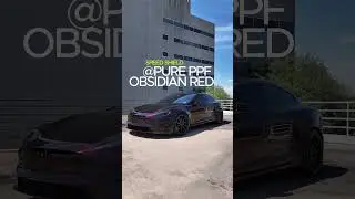 @speedshieldusa  Tesla Model S Color PPF #colorppf #ppf #tesla