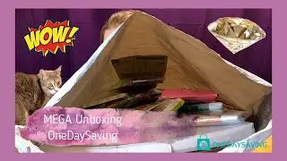 MÉGA Unboxing #Onedaysaving & De La Nouveauté [Diamond Painting]