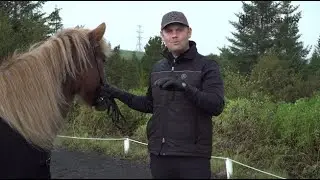Mental training for riders - Affirmations and achievements