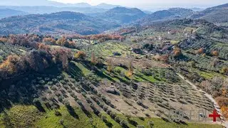 Vista dall'alto | Mompeo (RI), Italy | Antico casale rurale circondato da comodo uliveto