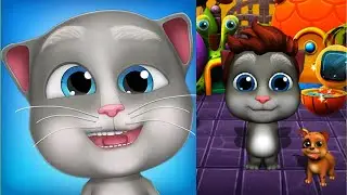 My Talking Bob Cat Gameplay Walkthrough Part 6