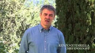 Antinori Peppoli Chianti Classico - Voyageurs du Vin
