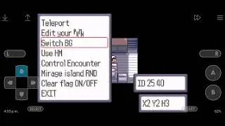 Pokemon ruby speedrun (german makes it faster)
