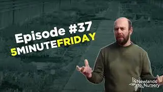 EP37 - How to cut back your mint plant for the winter - #5MINUTEFRIDAY