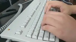 Apple Extended Keyboard II (with transplanted Amber Alps guts)