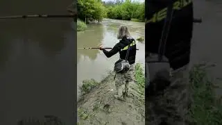 siluri con la piena 🎣