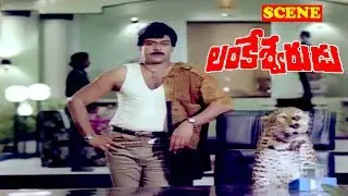 MEGA STAR CHIRU AWESOME SCENE  | LANKESHWARUDU | CHIRANJEEVI | RADHA | REVATHI | V9 VIDEOS