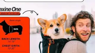 Carry Your Chonk in Style 🐶 Little Chonk Maxine Dog Carrier Review