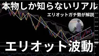 【エリオット波動】基礎からトレード方法までをこれ１本に凝縮
