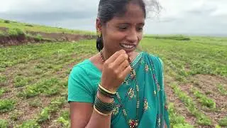बघा पोर मुग्यांच्या शेंगाला किती नटलेत अनुजा भारी पळती डोंगरांनी लय मज्जा चालू हाय 😂#गावठीनिलेशपुनम 