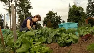 Kiwi Cove Garden - Shaw TV Nanaimo