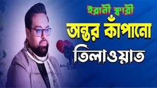Heart Touching Recitation of Quran | Qari Jawad  Hossein-Iran | القارئ سيد جواد حسيني