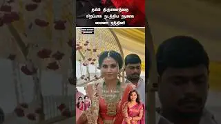 💖 நடிகை மைனா நந்தினி தம்பி திருமணக் கொண்டாட்டம் 💖#trending #wedding #shortsfeed #shorts #marriage