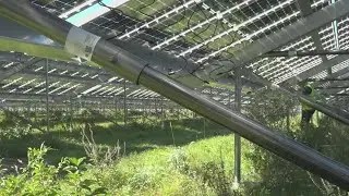 Community Solar gives Mainers new option for renewable energy