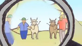 Vetiver and the Case of Eroding Soil - animation