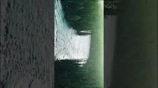 Peaceful Nature Views