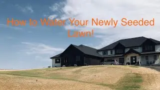 How To Water Your Newly Seeded Lawn