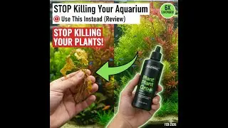 Complete nutrition for healthy, lush aquarium plants.#FluvalPlantGro #AquaticPlants #PlantedAquarium