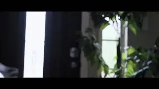 Cineshort with Nikon Legacy Glass