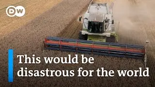 Putin threatens to withdraw from the Black Sea grain deal unless some sanctions are lifted | DW News