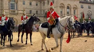 Beautiful King&rsquo;s White Horse seen on Horse Guards Parade 🇬🇧