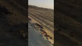افضل 7أفدنه جاهزين للزراعه في الواحات البحريه سعر الفدان في المتناول لصغار المستثمرين 01009554654