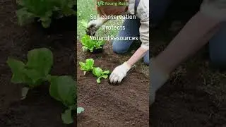 Soil Conservation - Shorts | Social Initiative by Youngrush.com
