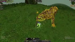 SIlkroad online 2025 Subiendo de nivel