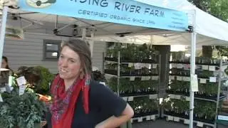 From Farm to Table - Supporting Local Growers in Tacoma