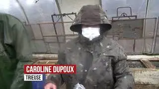 Une pêche d'étang dans la Creuse