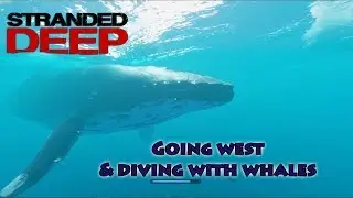 Stranded Deep | Go west, where the skies are blue S01E06