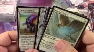 Guild Kit 04 Aurelia Boros Commander The Build Creatures