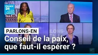 Conseil de la paix, que faut-il esp&eacute;rer ? Parlons-en avec A. Novosseloff, B. Besancenot et A. Corpet