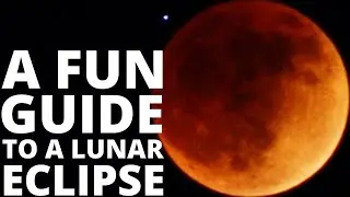 A Fun Guide to a Lunar Eclipse (Super Flower Blood Moon 2022)
