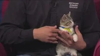 Pet of the Week 6/17