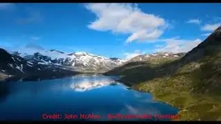 Freedom by John McAfee