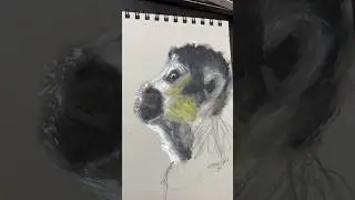 PAINTING my monkey! 🎉 #painting #monkey #art #paint #monkeys #colors #oilpainting #timelapseart