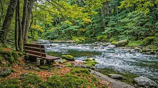 Музыкальная терапия 🌿Успокаивает нервную систему и освежает душу, расслабляет #2