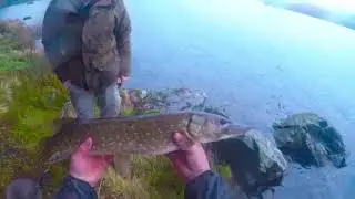 Pike Fishing and Camping, with log fire spit-roast and steaks Galloway Forest