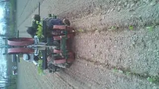 Holland Self Propelled Transplanter planting cabbage at Balanced Harvest Farm