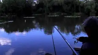 tollerton ponds