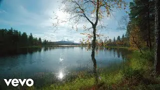Daily Relaxing Music - Gentle Light Upon the Soul