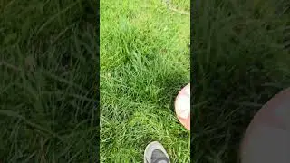 How to do a tivela