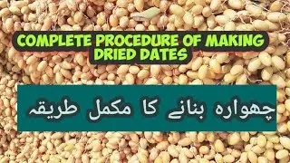 Complete procedure of preparing Dry Dates (Chuara)