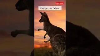Top 10 Places to Visit in Australia! Explore Australia #shorts #short #trending #viral