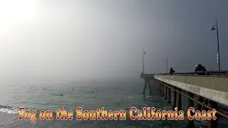 Foggy Day on the Beach 1/20/2026