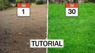 Wie sät man einen Rasen? Anfänger TUTORIAL + die FEHLERRR !!