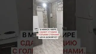 В Минск-Мире сдают студию с голыми стенами. Цена шокирует